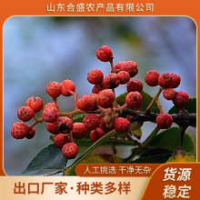 山东红花椒厂家批发莱芜红花椒茂汶大红袍花椒大红袍火锅卤料颗粒