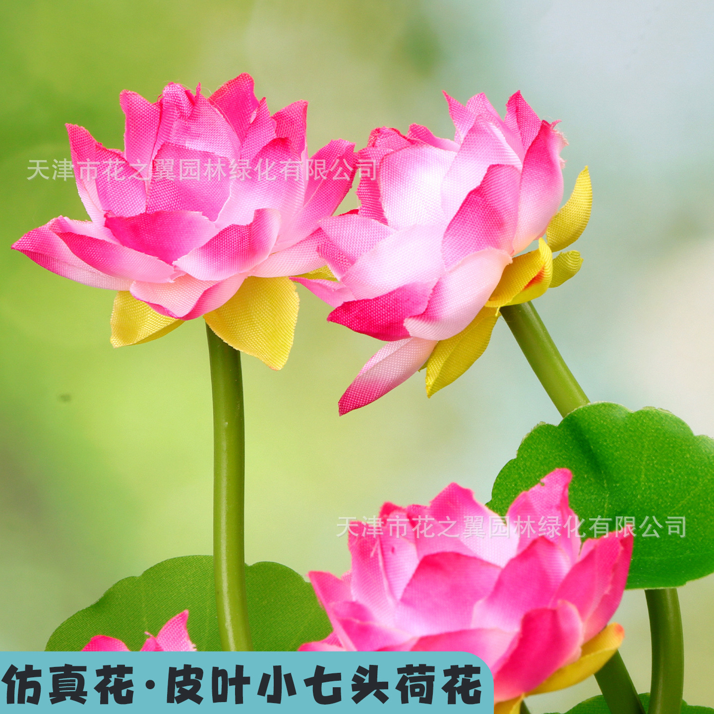 小清新皮叶小7头荷花迷你荷花寺庙供奉桌摆禅意装饰桌摆跨境代发
