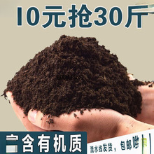 �I�B��ͨ�����B���N����������ֲ��G�}�Nֲ���ЙC�����������l##