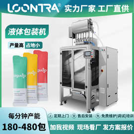 隆川颗粒异型袋分装机 调味料四边封包装机械 冲剂多列机包装机