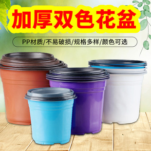 �Ӻ�pp�pɫ���pɫ�����ɫ����������Nֲ����������Nֲ����