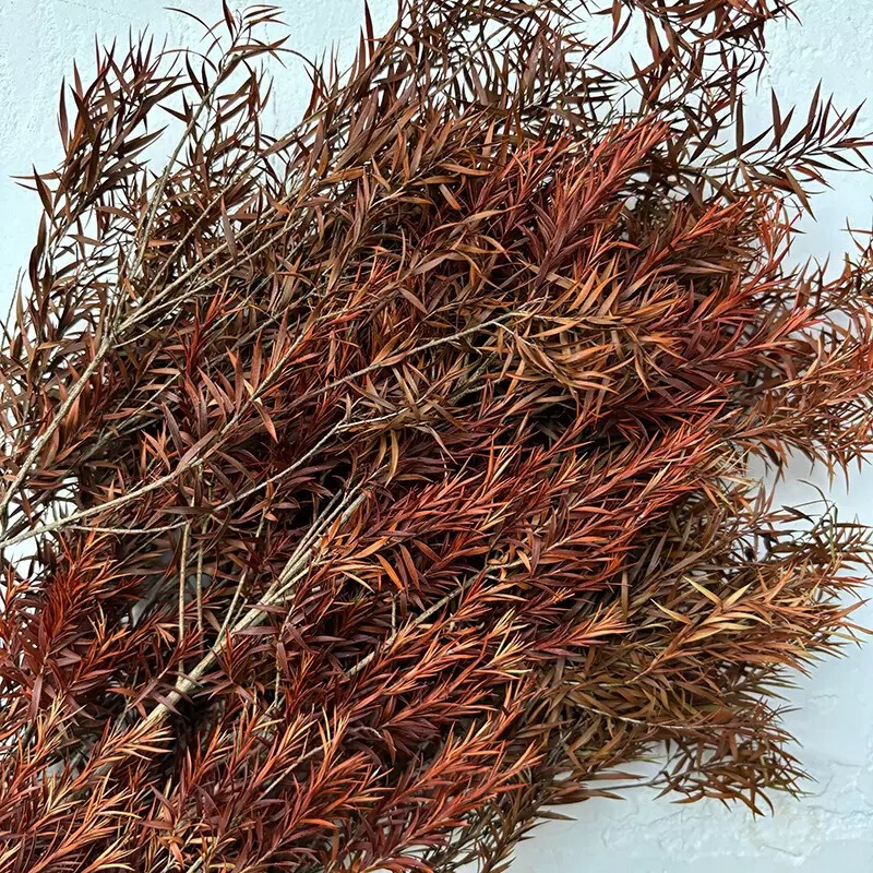 永生花千层金干花批发云南工厂直供花束真花家居装饰永生配材直发|undefined
