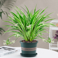 �������ԾGֲ�����҃�ˮ��ˮ�B�����՚��ļ�����͏d���˺��B