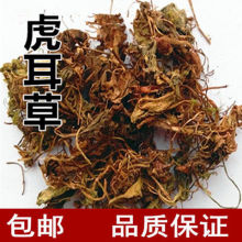 ��ș�� ������ �����~ �ϻ��� ���]