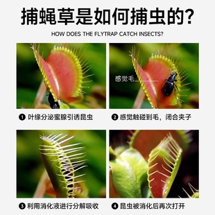 ����ω�������i�\���ͺ��Gֲ��ʳ�x��ʳ�˻��ܺ��B���҃����