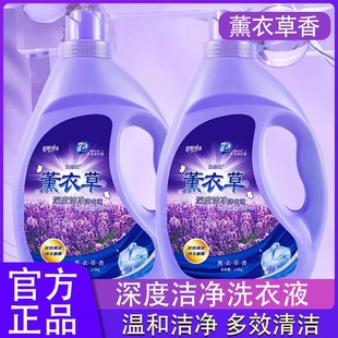 Lavender Laundry Liquid Bucket Household Decontamination and Fragrance 2.50kg Source Factory Wholesale Push Activity on behalf of the best price