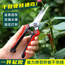 ���l �@����֦��@ˇ�๦��ժ������֦�����@���������쾰������