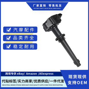 Factory Price 8W9312A366Da 0221604022 Aj811378 Lr010687 Ignition Wire Suitable for Jugar