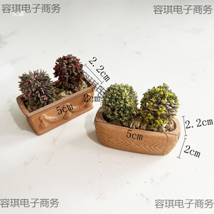 ��������t��Ĵָ����ˮ͸��С����ֲ�ﻨ�軨�@΢�͔[��