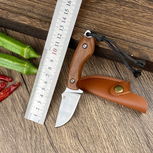 Portable Fruit Knife, Outdoor Sharp Camping Knife, Edc Portable Box Opener, Wooden Handle Knife, Mini Foldableing Knife