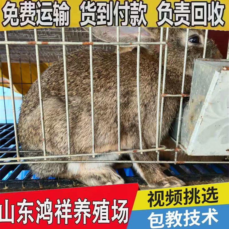 b_1260965202103241601338168.jp