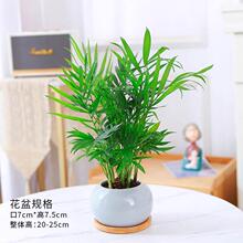 ���主�FҬ�����滨�������҃��k���ґ���ֲ��ˮ��Gֲ�����՚�