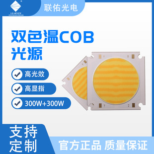 Manufacturers Supply 600W Photography Lamp Cob Dual Color Temperature Cob Light Source Photography Integrated Light Source