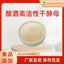 活性干酵母 酿酒高活性干酵母 面包发酵用 厂家批发 量大优惠