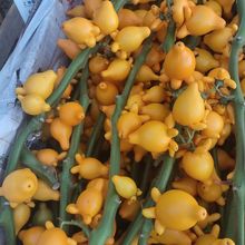 �������ͬ���S����V�������������҃���ָ�������Կ͏dˮ���辰