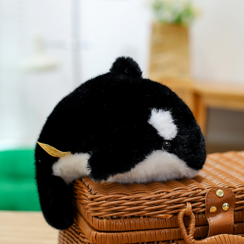 Small killer whale