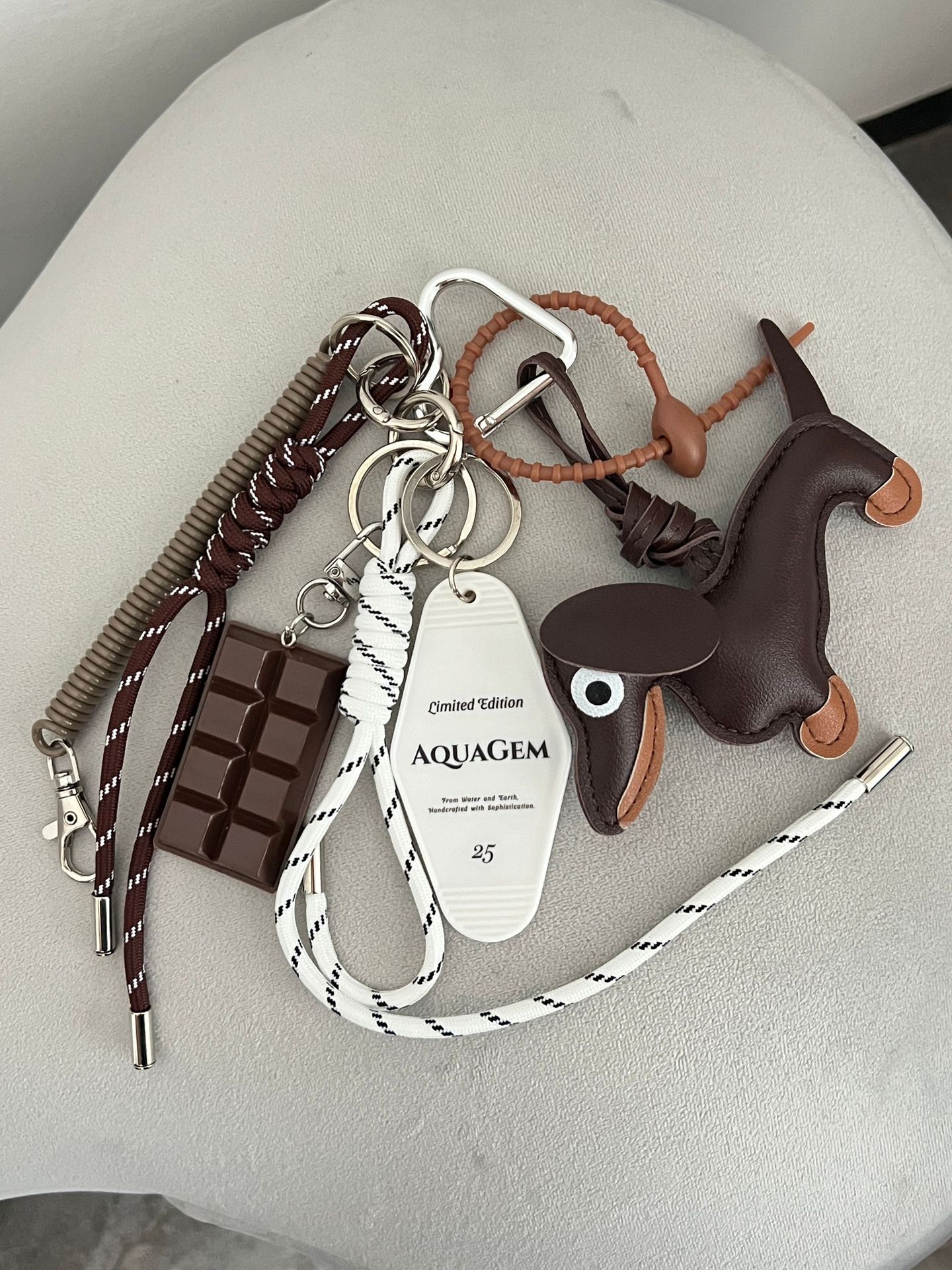 초콜릿 닥스훈트 화이트 라벨 모델