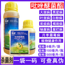 ����˹��P�������Ѿ����㽶���S���~�߲����ǲ��׷۲�������