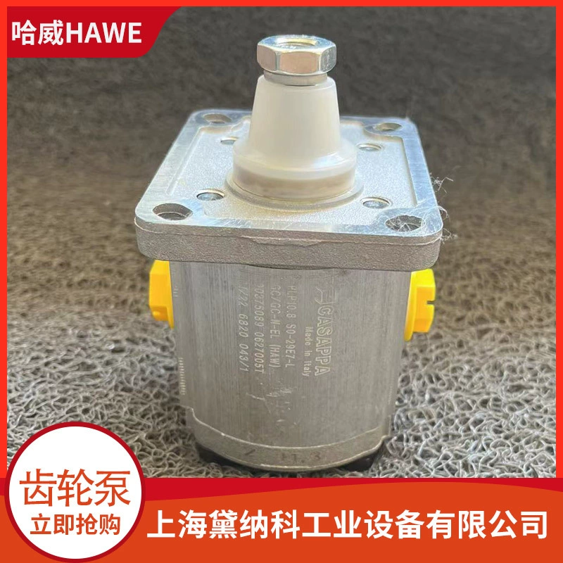 Немецкий Z 75 радиальный плунжерный насос HAWE Haway серии Z поставка гидравлического масляного насоса