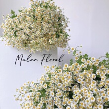 ��ʾ�С�r�ջ��͏d�[�O�����Ҿ��b����ٻ�ˇ�[�����յ���