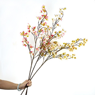 ��������ָ�ѻ� ���W�Ҿӿ͏d�b�ins�L�����廨�[�����⹤���쾰