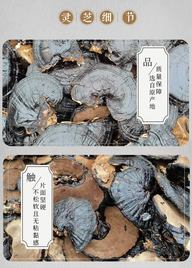 灵芝】_06.jpg