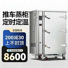 商用推车柜商用蒸饭柜蒸箱家用电蒸包炉小型电热蒸柜自动食堂蒸饭