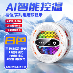 新しい携帯電話ラジエーター磁気半導体冷凍デジタルディスプレイ AI スマートクールゲーム e スポーツラジエーター