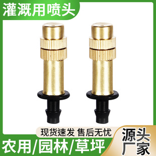 ���{�~�F�����^���b�Ԅӝ�����ͥԺ���س��m�ι����^���@��ȹ���