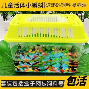 Tadpole Aquarium Pet Set Frog Granular Feed Kindergarten Observation Tadpole Live Living Seedlings