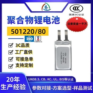 �늳�501220�ۺ����늳�601220�{�������� ��늳ؿɳ��UN38.3