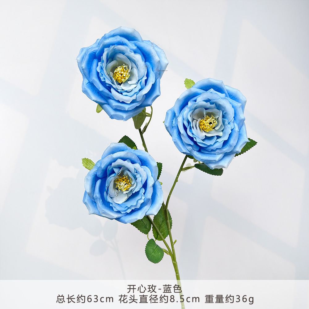 MJ-开心玫-蓝色