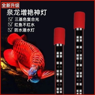 Spring dragon fish tank lamp lighting led waterproof diving lamp dragon fish special aquarium led lamp T8 dragon fish brightening lamp