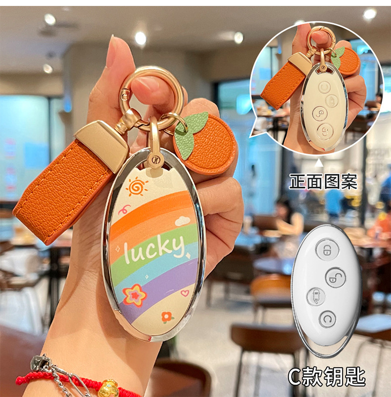 Suitable for Byd Dolphin Key Cover Han Ev Cartoon Pattern Seagull Destroyer 05 All-Inclusive Tpu Protective Shell Bag