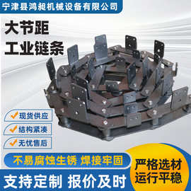 不锈钢大节距工业链条单双侧带耳传送链304非标工业弯板输送链条