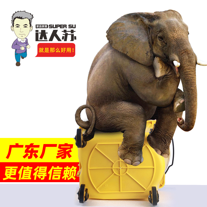 Baiyun Clean Water Squeezer Head Special Mop Mop Bucket Squeeze Bucket 32 Litres Water Squeezer Mop Bucket Commercial Customization