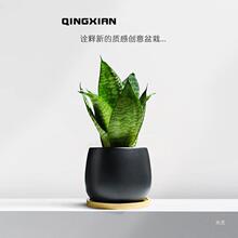 ��Ƥ�m�Gֲ�҃ȃ����՚�ֲ���ݗ����ꎺ��B�ɻ��m�k������������