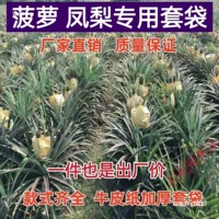 Мешок для ананаса, крафт-бумажный мешок для ананаса, защищенный от насекомых, дождя, солнца, дышащий, утолщенный защитный чехол, сумка Wangli