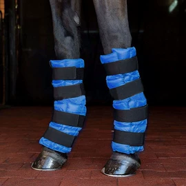 强化免疫;鸟类;宠物周边用品