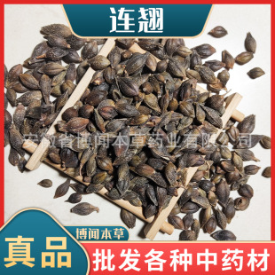 连翘中药材批发 青翘贯叶连翘落翘 新货量大从优-阿里巴巴