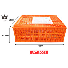 �u���\�����u�\���D�����u�\�ӵ��u�\���D���Bֳ�O��SC04