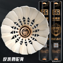 ����6��ë���ʹ����Zë���^���I����Ӗ����ِ����12ֻ�b�w�з���