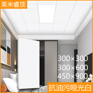 �����ۿ��ἃƽ����׼��ɵ���X�۰�300&times;600���b�N���l���g���