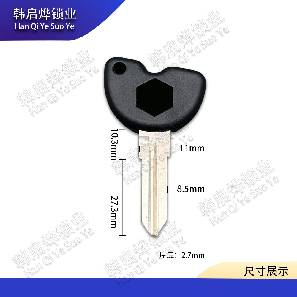 Piaggio Aprilia Sr300 Sr250 Apr300T-Vnexus250 Chip Key Blank/Key