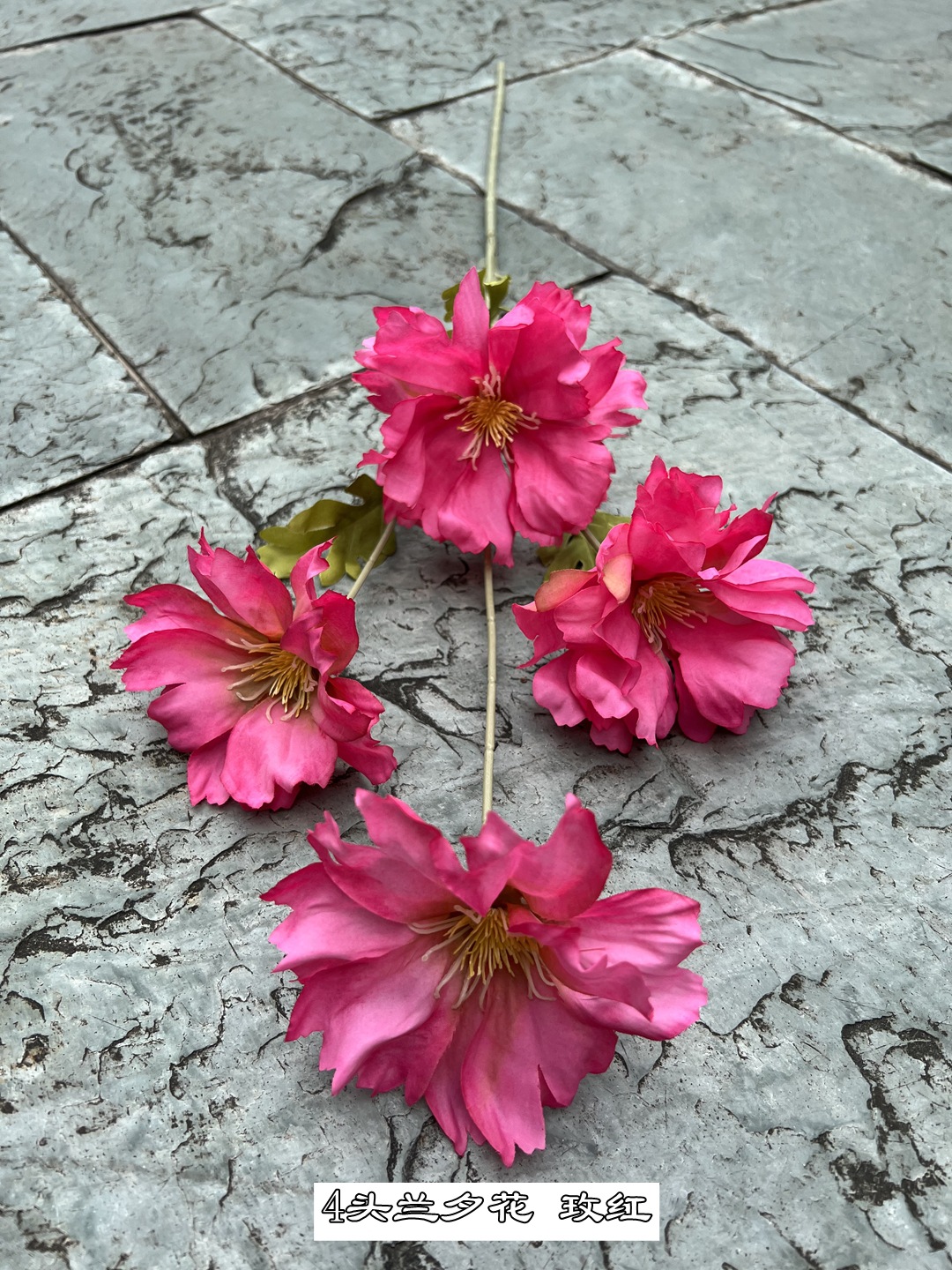 微信图片_20220813110233_副本