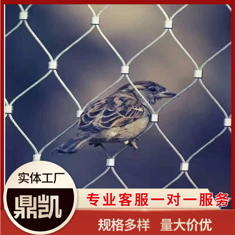 阳台防护钢丝绳网高空防坠网果园防鸟网景区围栏网不锈钢卡扣绳网