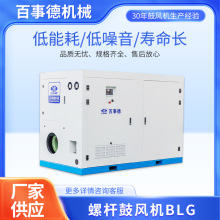BLG螺杆鼓风机