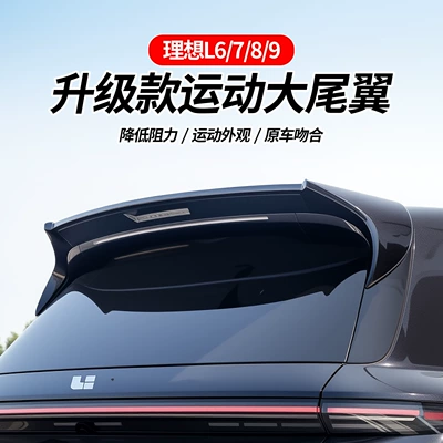 Fixed wind wing L6/7/8/9 Sports Large