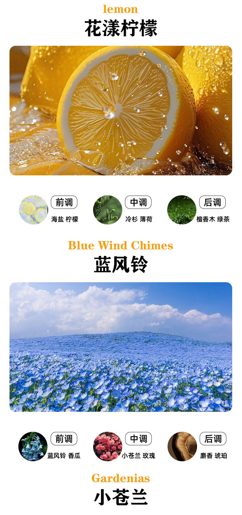 Cross-Border New Car Air Freshener Vent Clip Natural Fragrance All-Metal Diffuser Odor Removal Car Fragrance Perfume