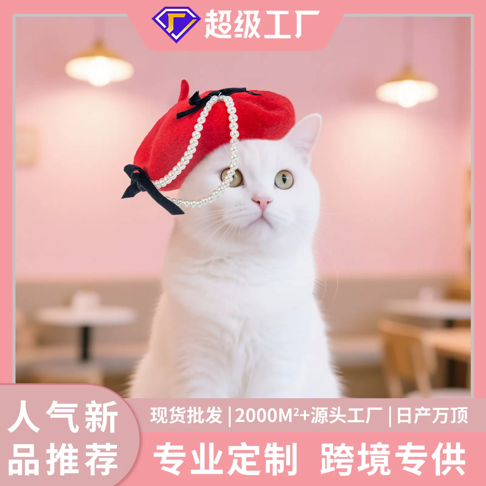 工厂个性设计宠物贝雷帽狗狗配饰羊毛帽子猫迷你拍照装饰神器帽子